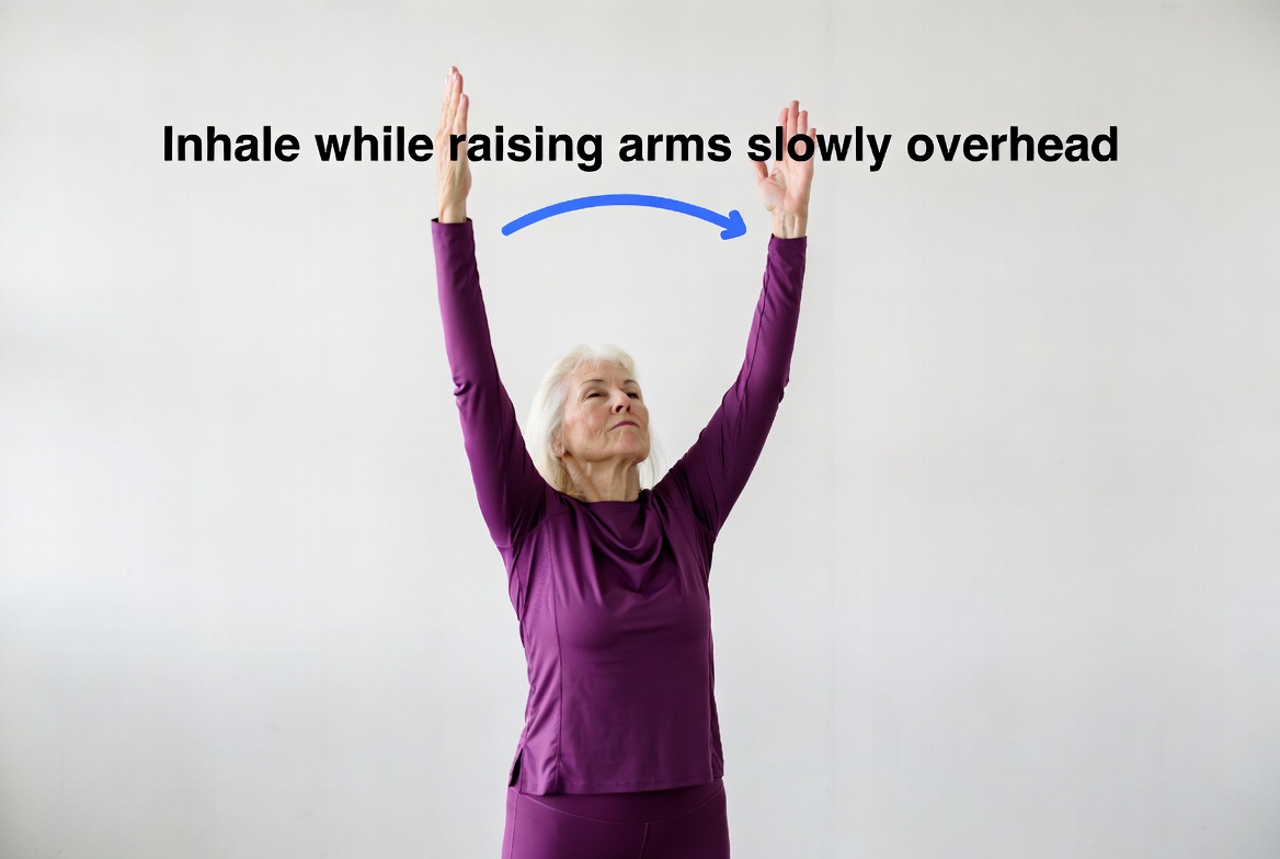 2-Arm- Raises- with- Deep -Breathing -Exercises -for- Seniors-to- Improve -Stability